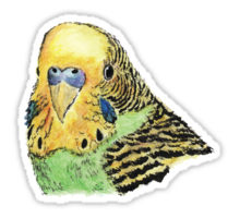 Green parakeet design decorating a Redbubble sticker