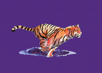 Society6 version of the tiger