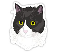 Redbubble Casual Cat sticker