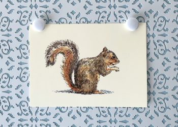 Squirrel at Rest 5x7 art print