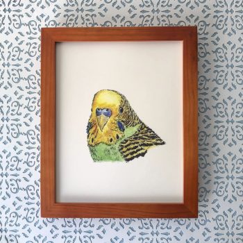 Parakeet 8x10 print at Etsy