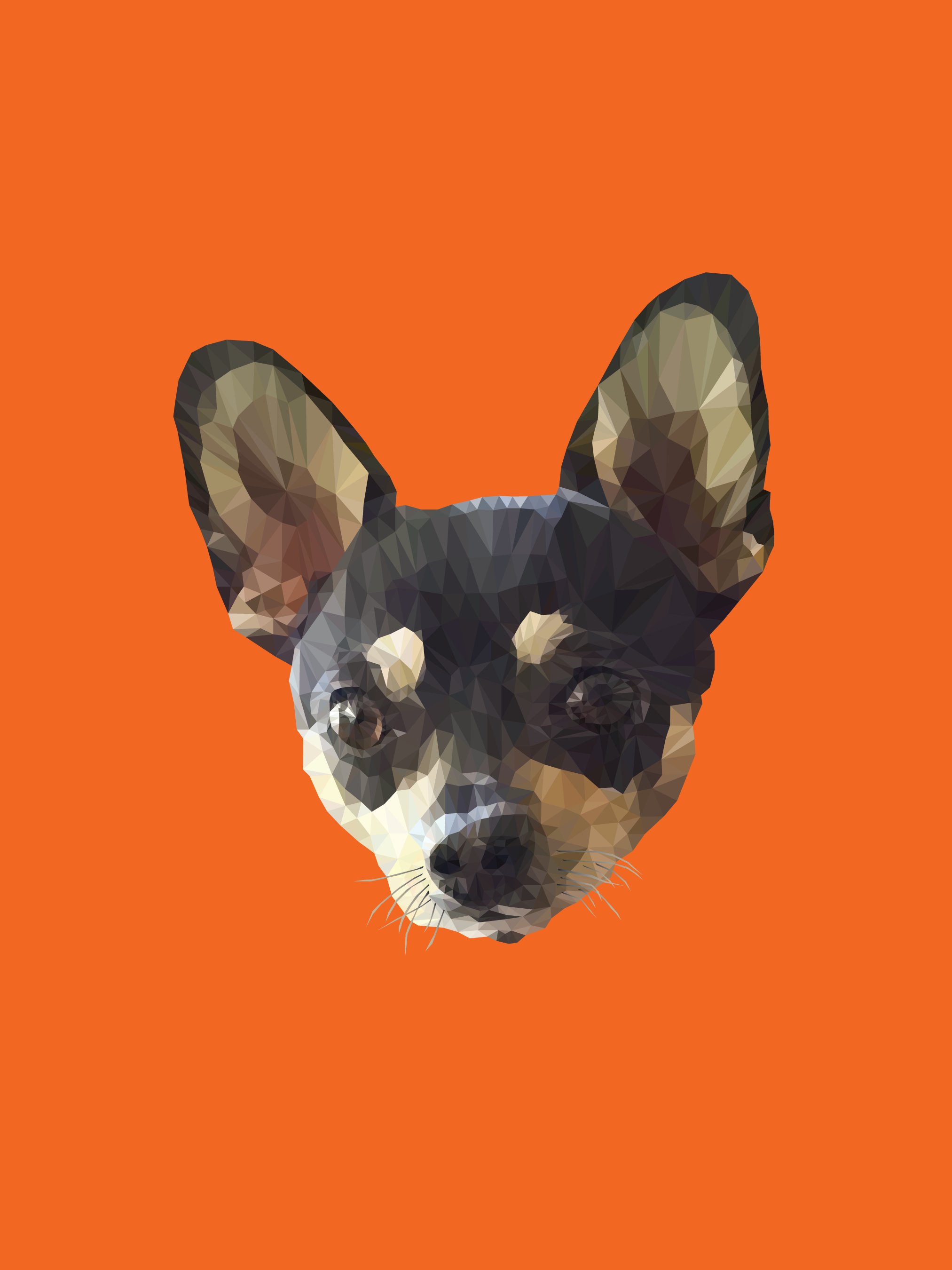Low Poly Chihuahua illustration
