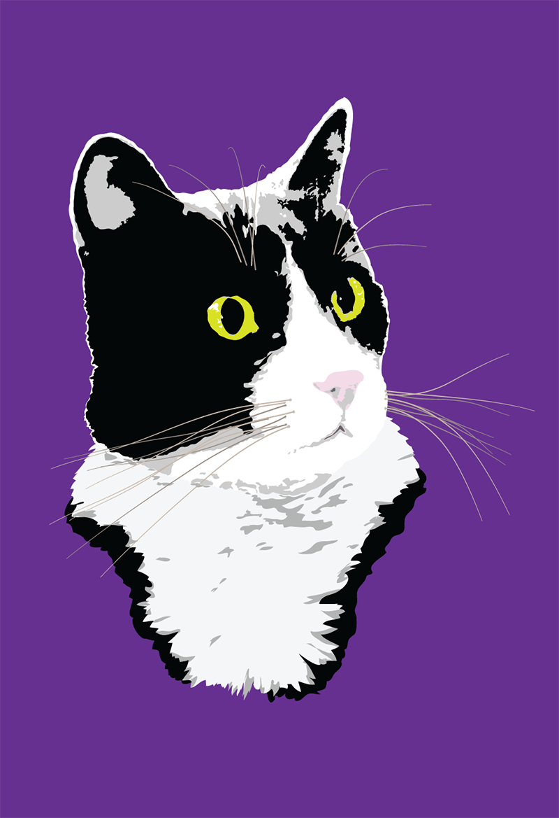 tuxedo cat illustration