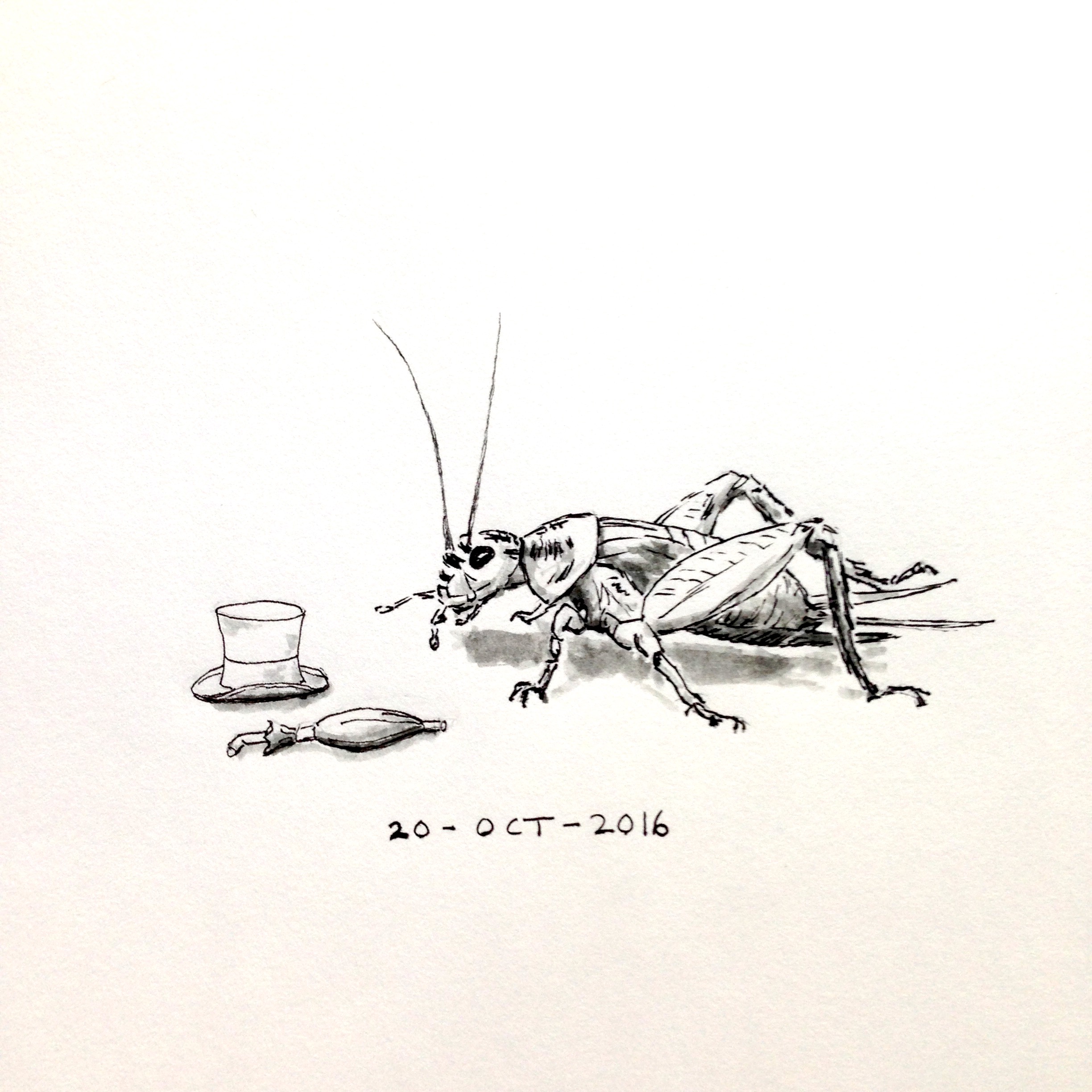 Ink drawing of a cricket pondering a top hat and umbrella