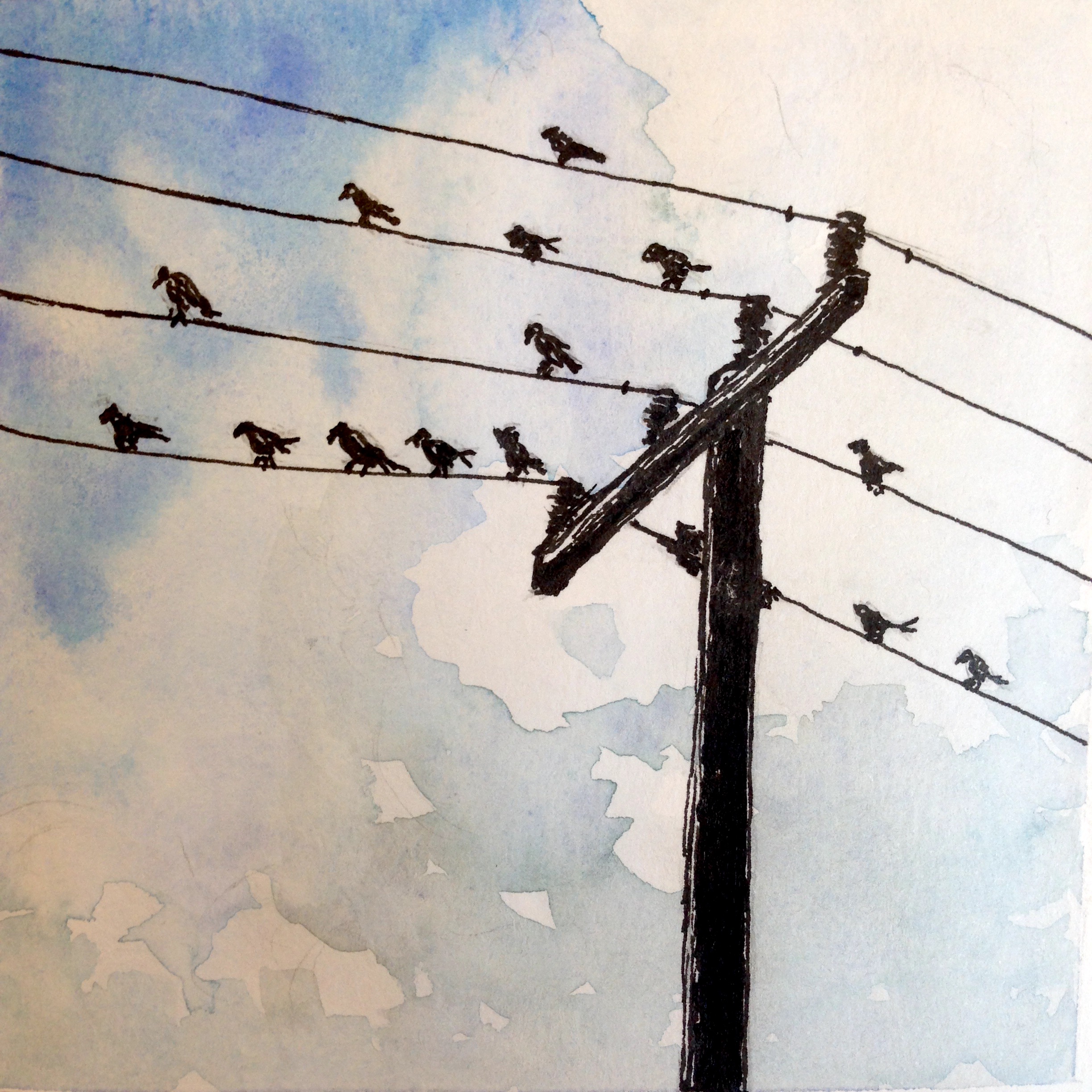 pen and watercolor of birds on a wire
