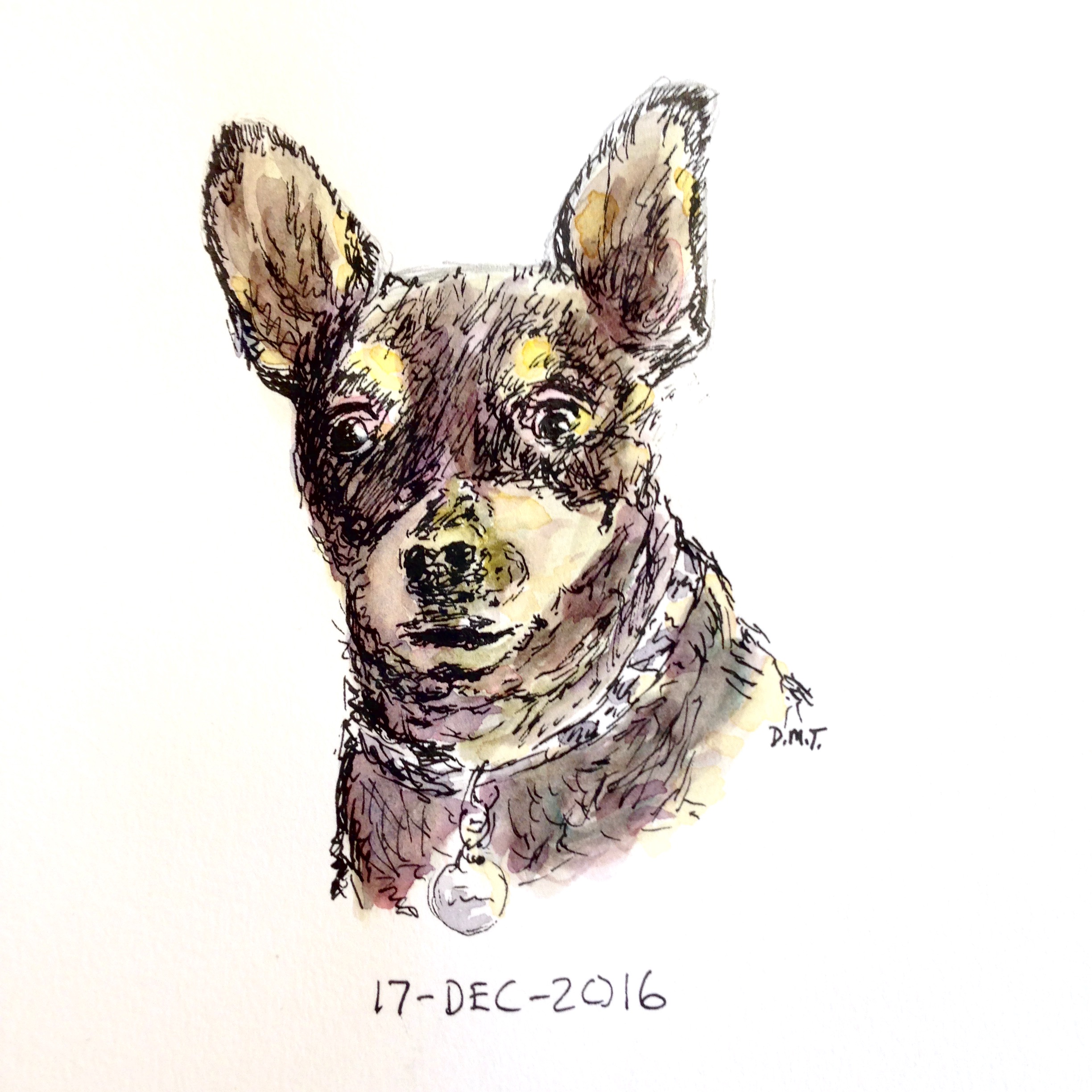 Pen and watercolor drawing of Mouse the dog