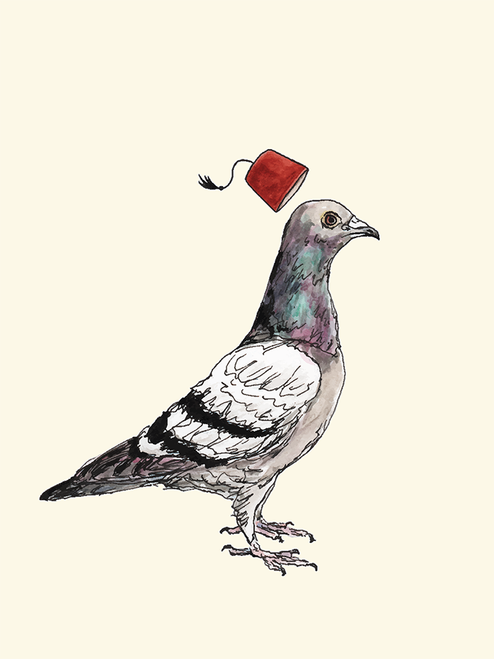 An unflappable pigeon wearing a fez