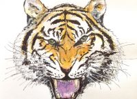 Drawing of a fierce Bengal tiger