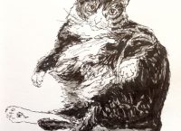 Drawing of a fluffy, fat cat