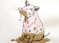 Drawing of a filthy pig