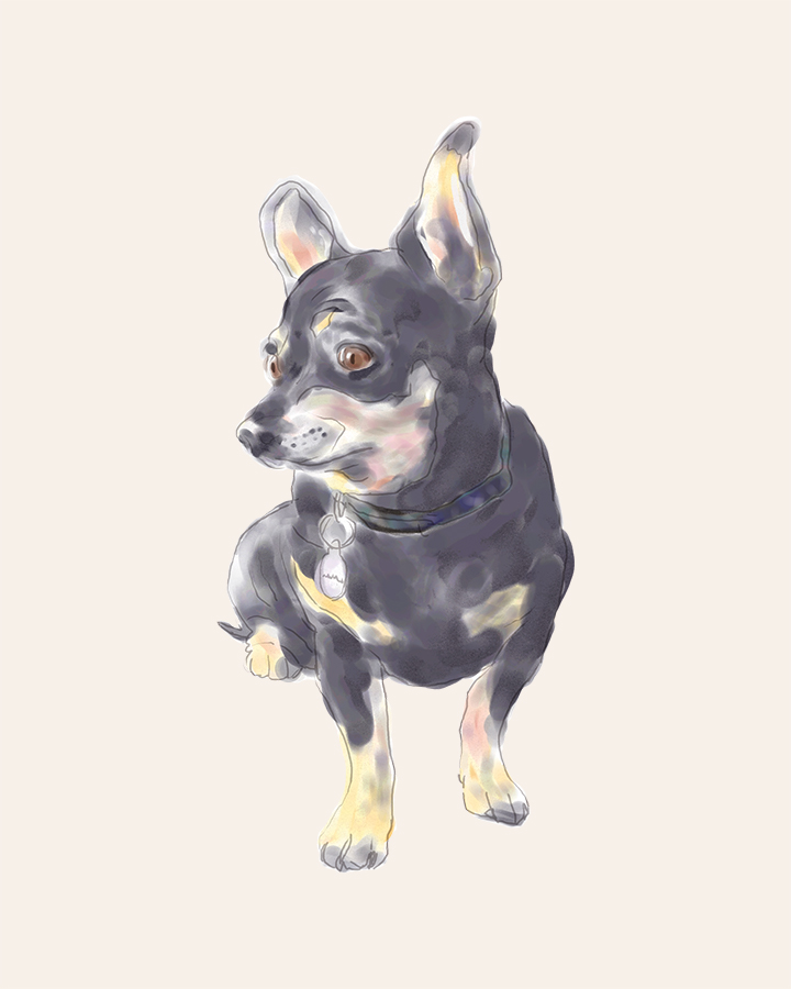 Little Dog Waiting digital watercolor painting