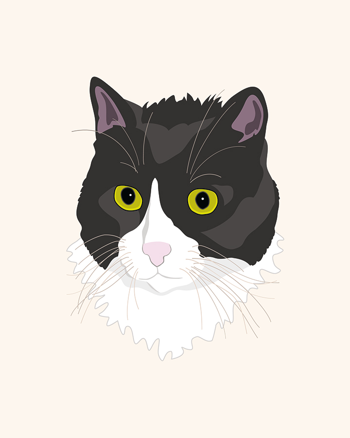 Casual Cat illustration