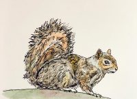 Inktober 2018, Day 3, Squirrel