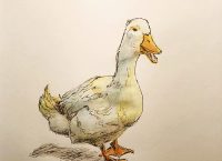 Inktober 2018, Day 18, Duck