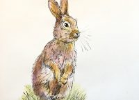 Inktober 2018, Day 27, Rabbit