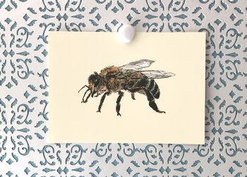 Honey Bee 5x7 art print