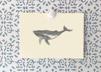 Humpback Whale 5x7 art print