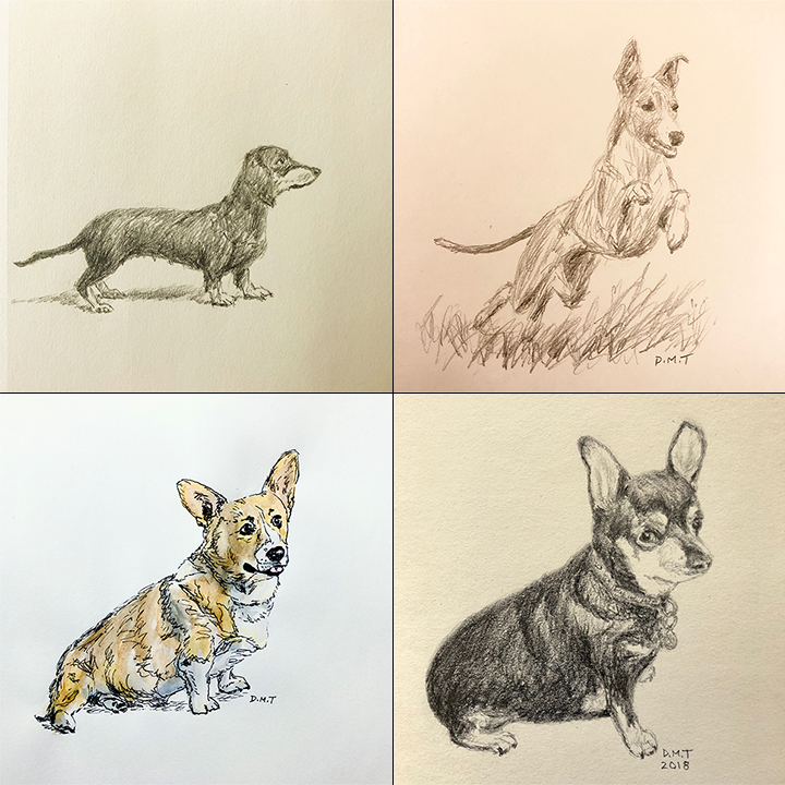 Four dog drawings