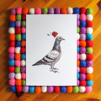 Unflappable Pigeon bright white 5x7 art print