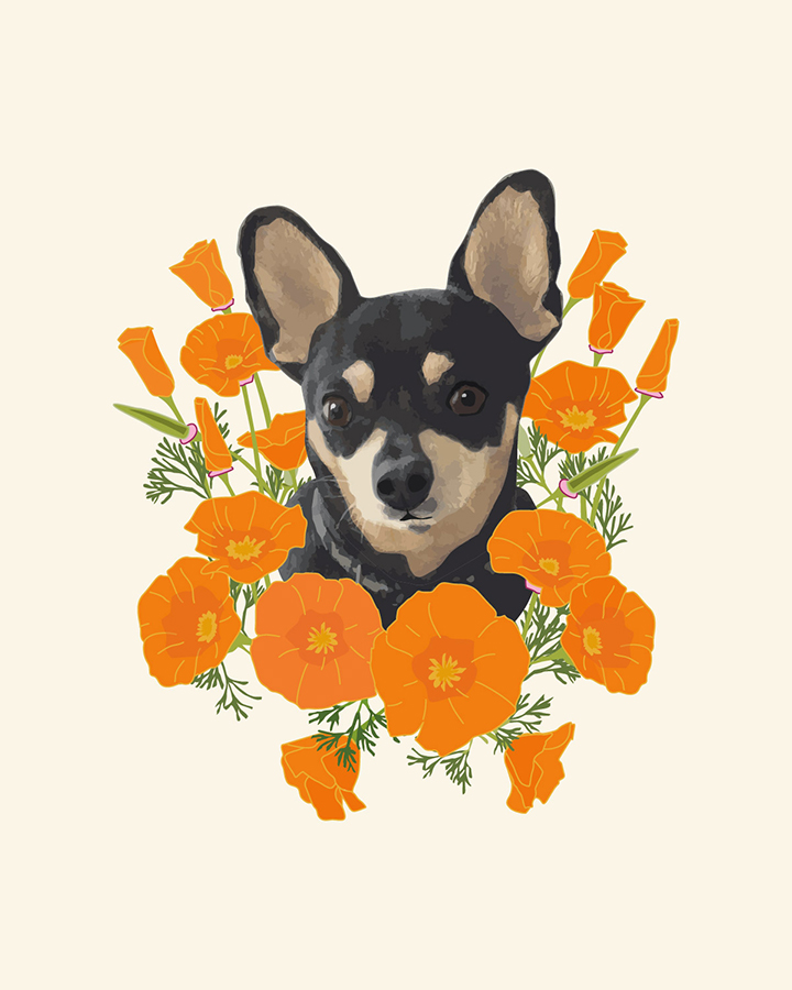 Poppy Dog illustration