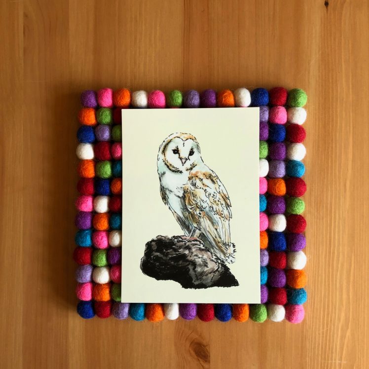 Barn Owl 5x7 print