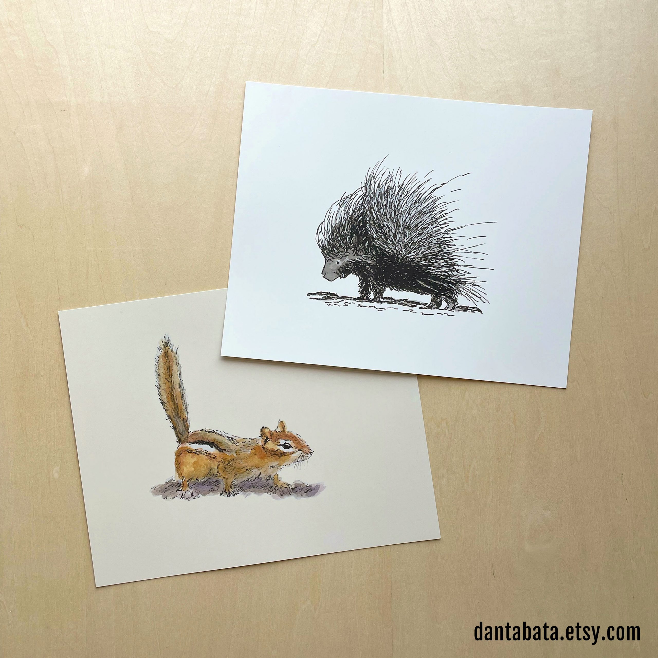 chipmunk and porcupine 8x10 prints