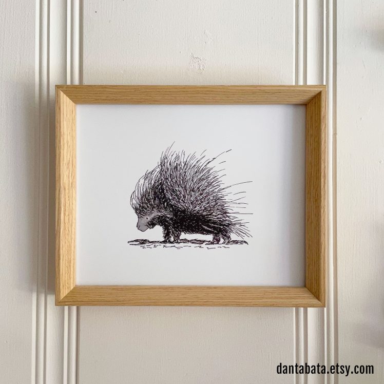 porcupine 8x10 print
