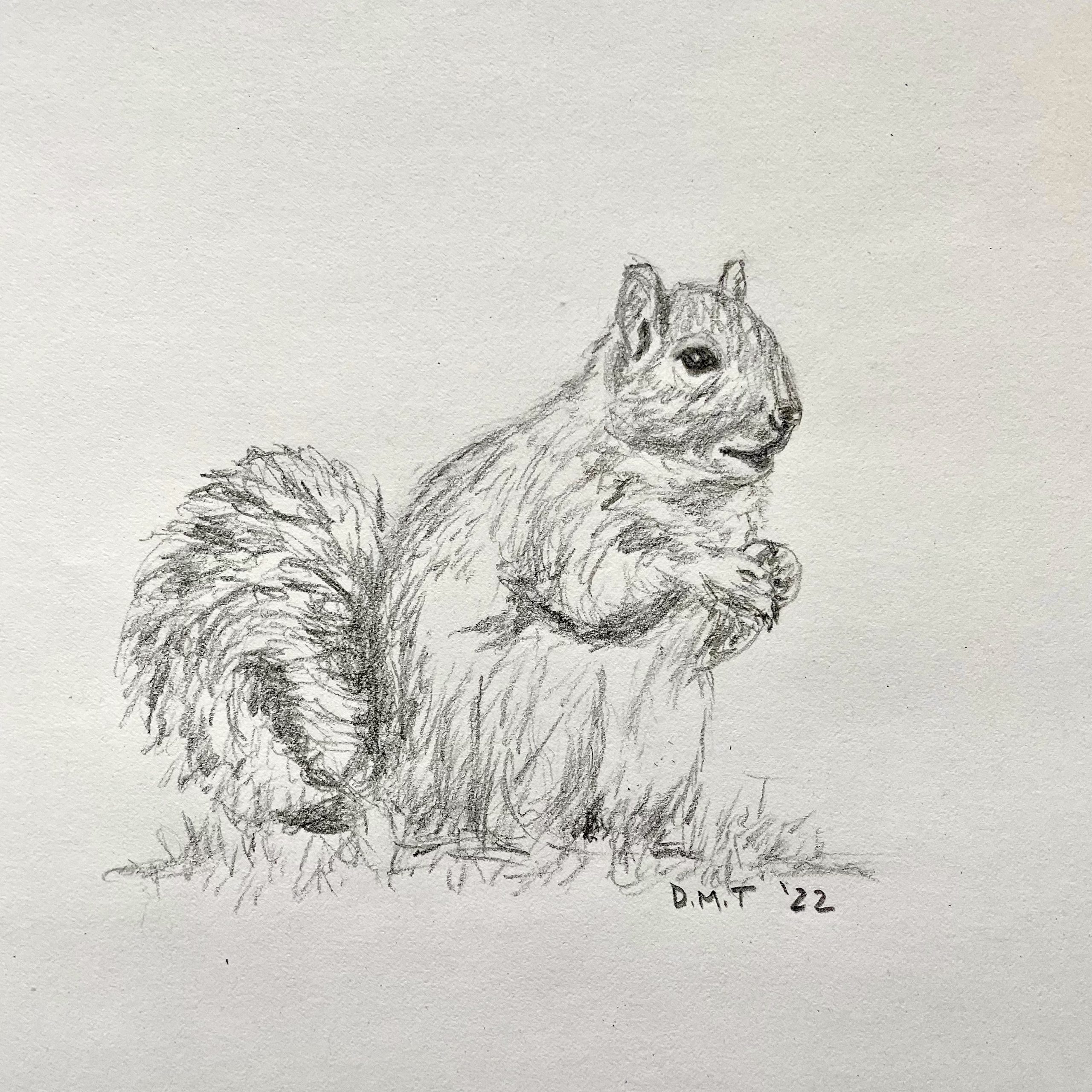 First Squirrel Drawing of 2022